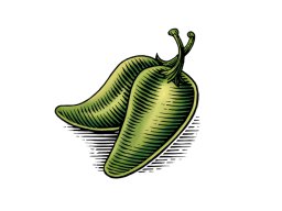 Jalapeno Art   color